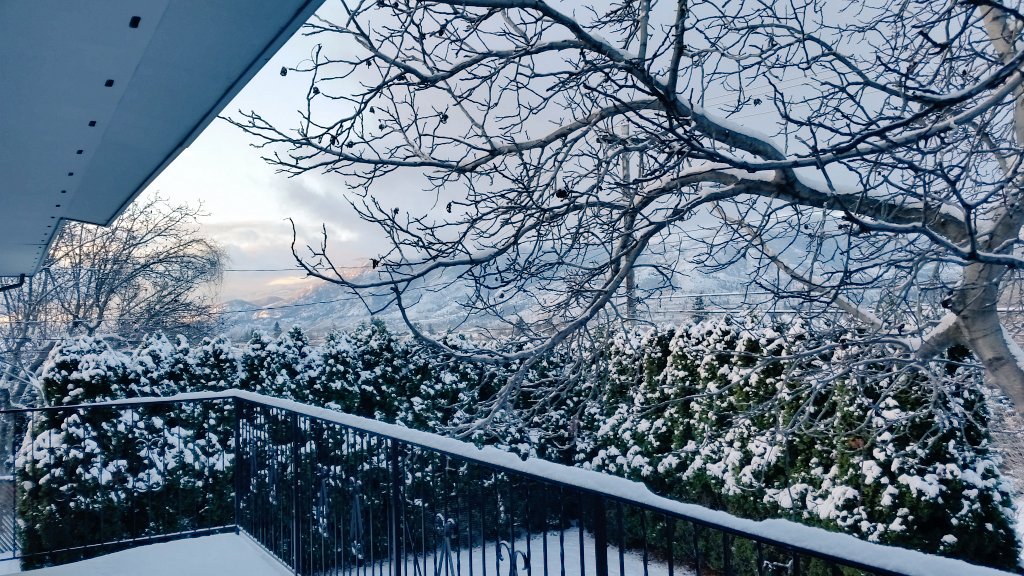 HavenHill Guesthouse tweet media