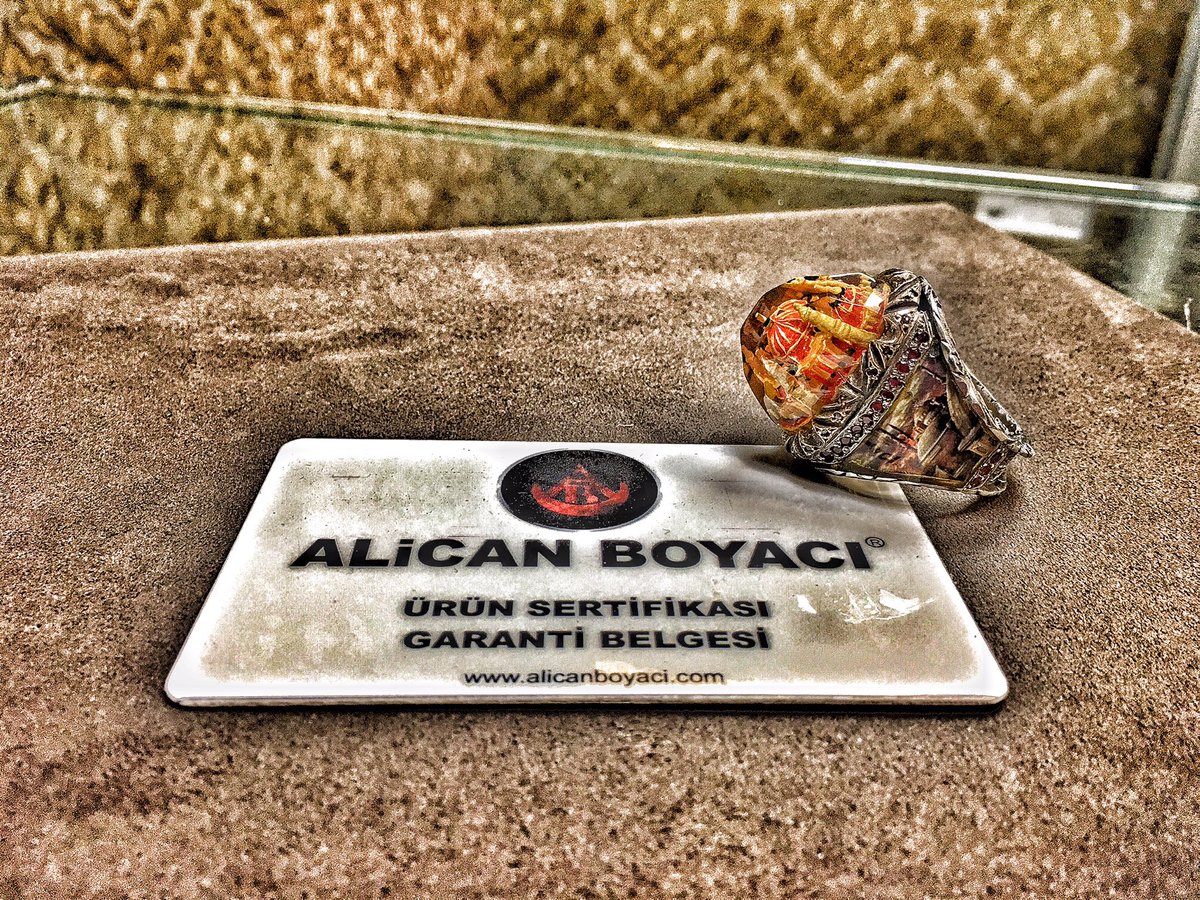alicanboyaci.com