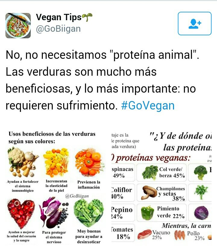 No necesitamos proteína animal. Las verduras son mucho más beneficiosas y no conllevan sufrimiento.