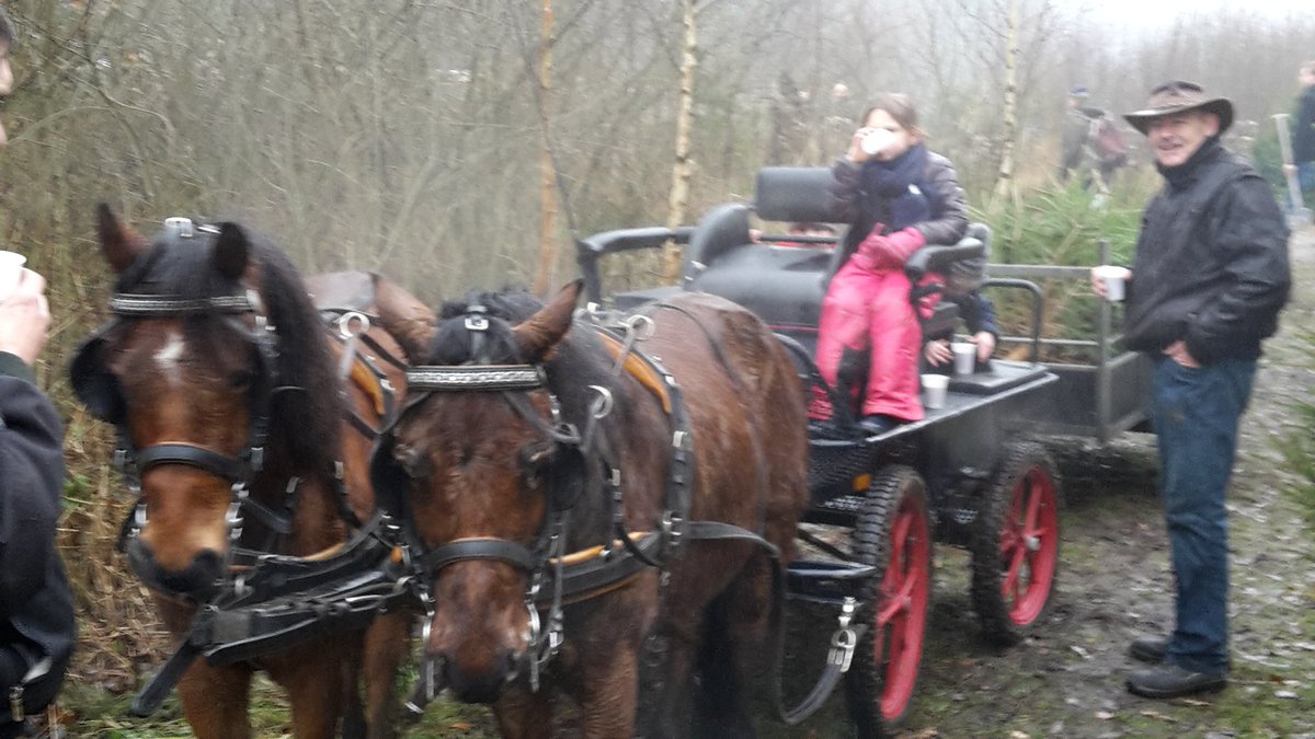 Kap je eigen kerstboom in #kuinderbos weer volop natuurbeleving