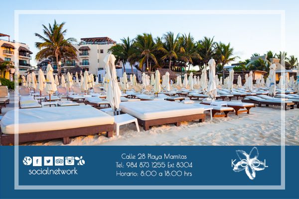 KoolBeachClub's tweet photo. Disfruta Playa del Carmen en el mejor lugar, no te hará falta nada...
#koolbeachclub #playadelcarmen #beachclub https://t.co/oHFDGDNUsL