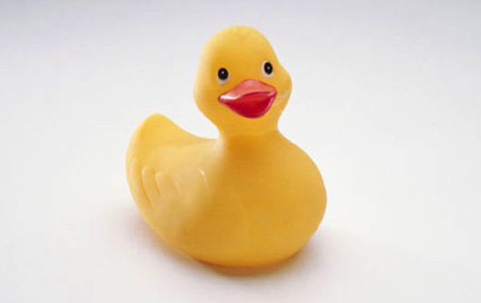 If It Walks Like a Duck and Quacks Like a Duck, Guess What?