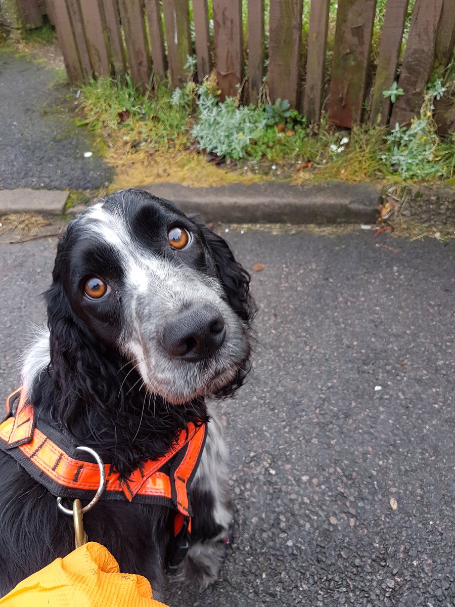 MidsDog's tweet image. First job all sorted now on route to assist @nottsfire with another incident just broke the news to dexter