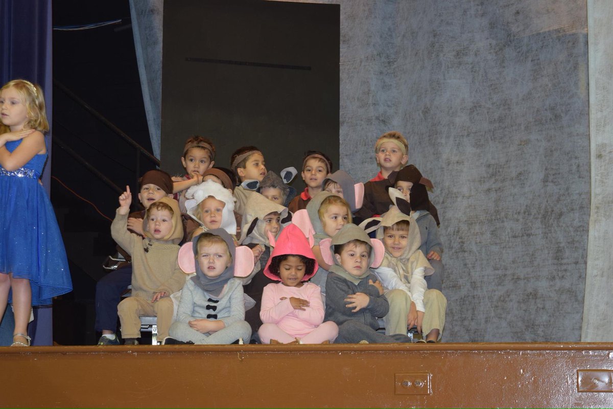 St. Cecelia School tweet media