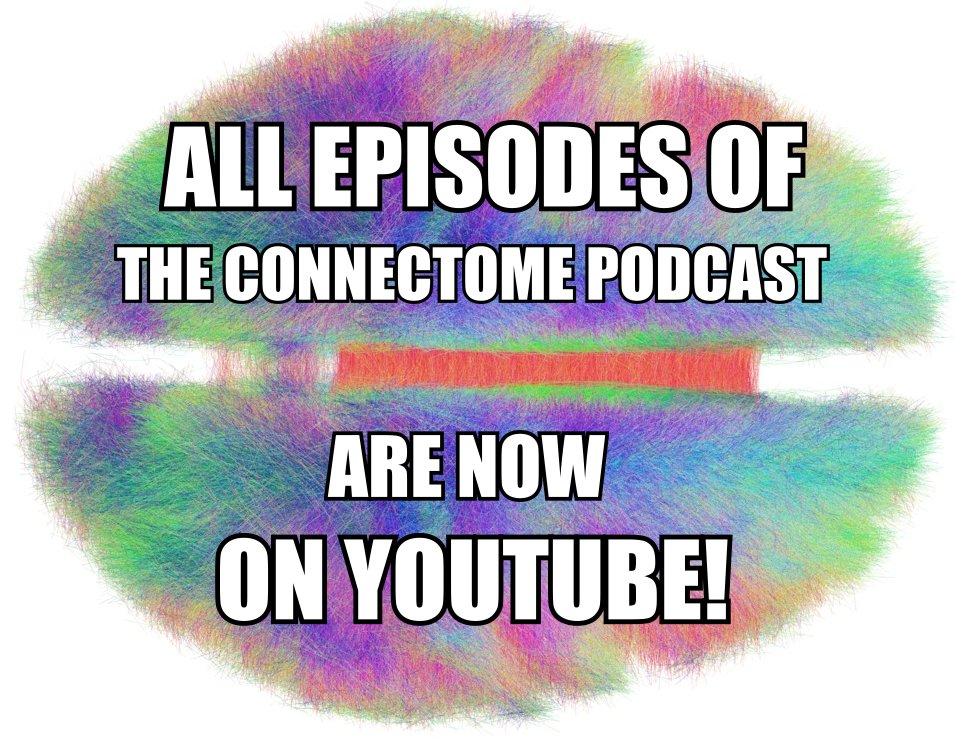 theconnectome's tweet image. ALL EPISODES of The Connectome #Podcast are now available on Youtube... all the way back to Episode 1! youtube.com/user/extrapala… #neuroscience