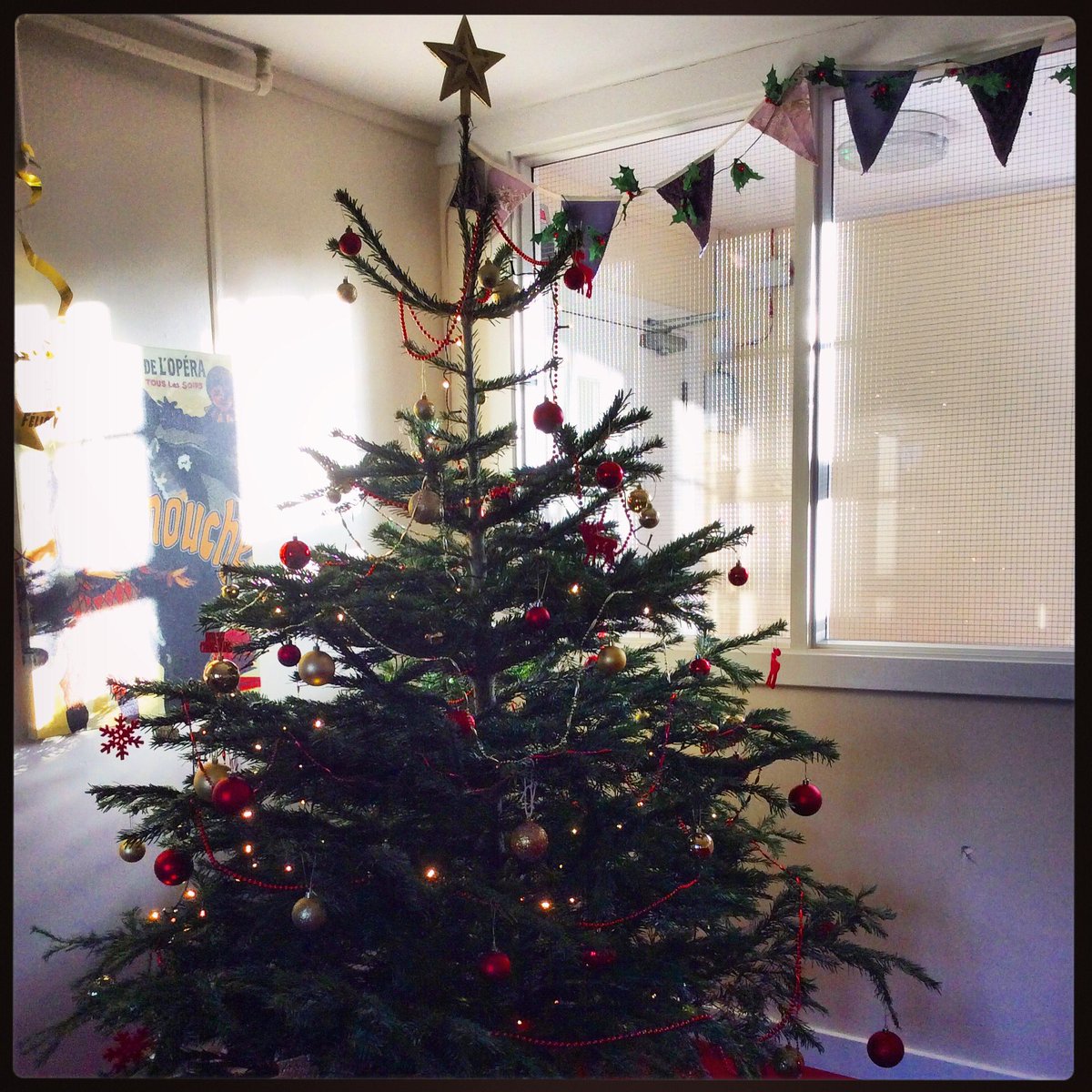 gordonstoun's tweet photo. A lovely tree from @WindmillLodge #Gordonstoun #housetrees #boardingschoollife #christmasiscoming ππ https://t.co/2eencF3NOY