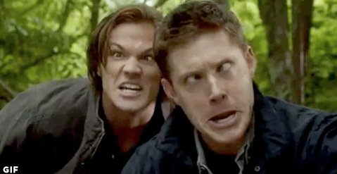 StudentFeedUS's tweet photo. How you look when you and your best mate take selfies... #LadProblems https://t.co/GgSOdgM4zP