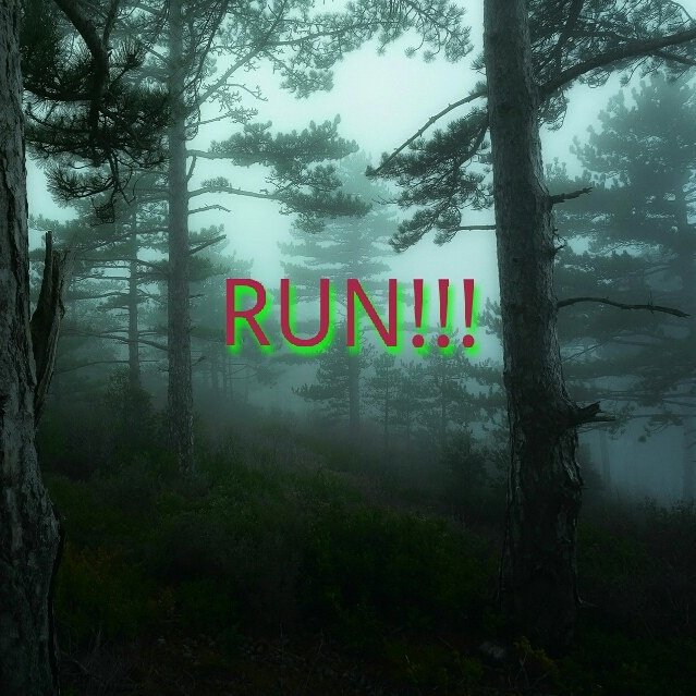 quinn_hannivan's tweet image. 