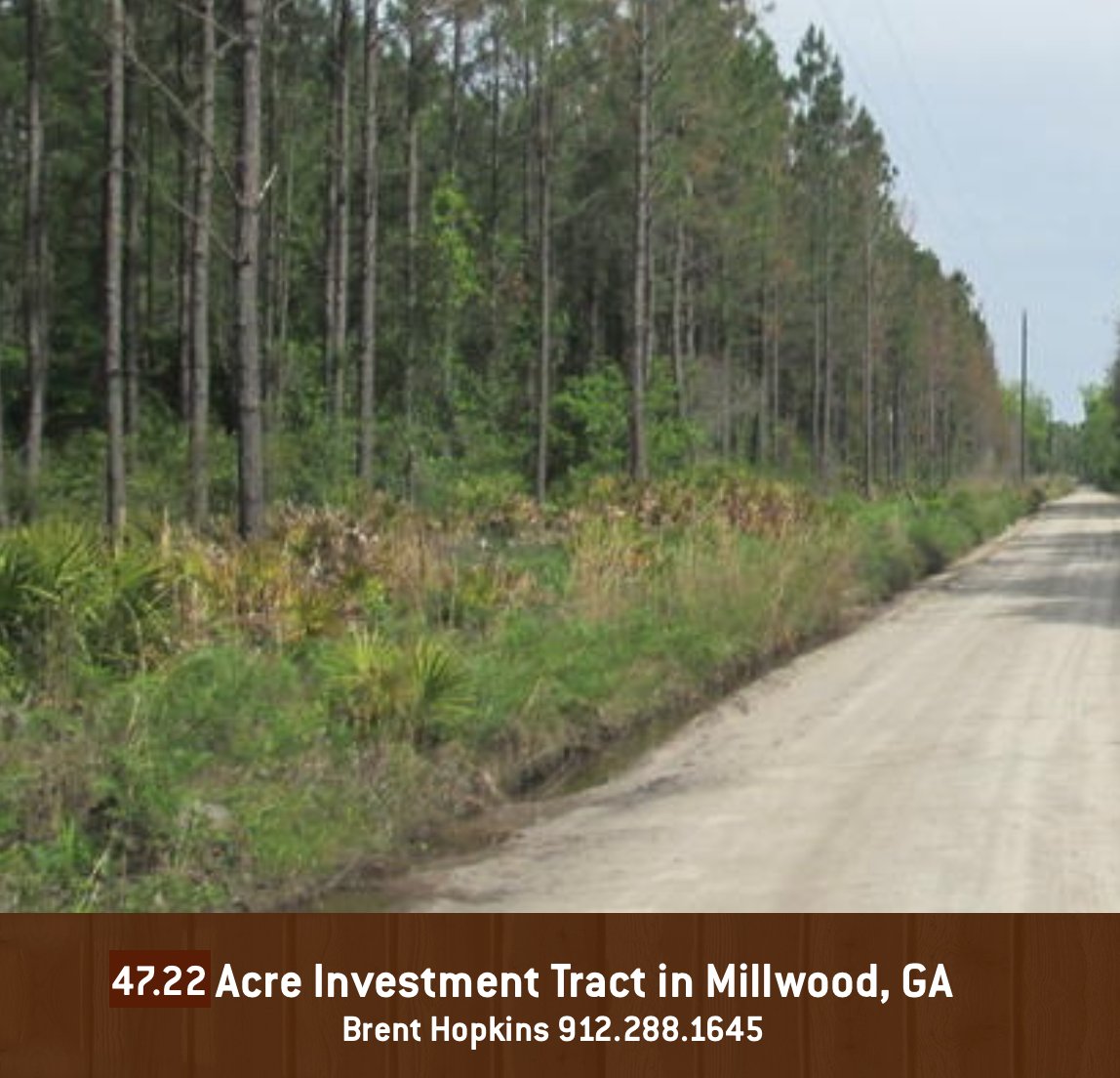 cartergroupre's tweet image. ow.ly/eDbe306ROrH
Owner willing to divide. Plenty of wildlife here!
#warecounty #property #timberinvestment #homesite #gentlemanfarm