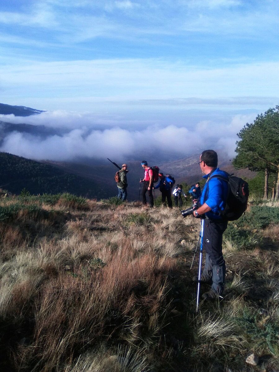 Lillomonte's tweet photo. Club Salandar-Ascensión al pico Pinajarro y Día Internacional de las Montañas #DIMCYL @FDMESCYL #Welovemountains
 
https://t.co/o0V4gQ0NUP https://t.co/zvC663VjdT