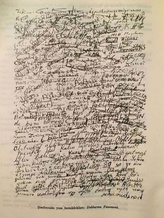 Cocina Futuro (@cocina_futuro) | Twitter