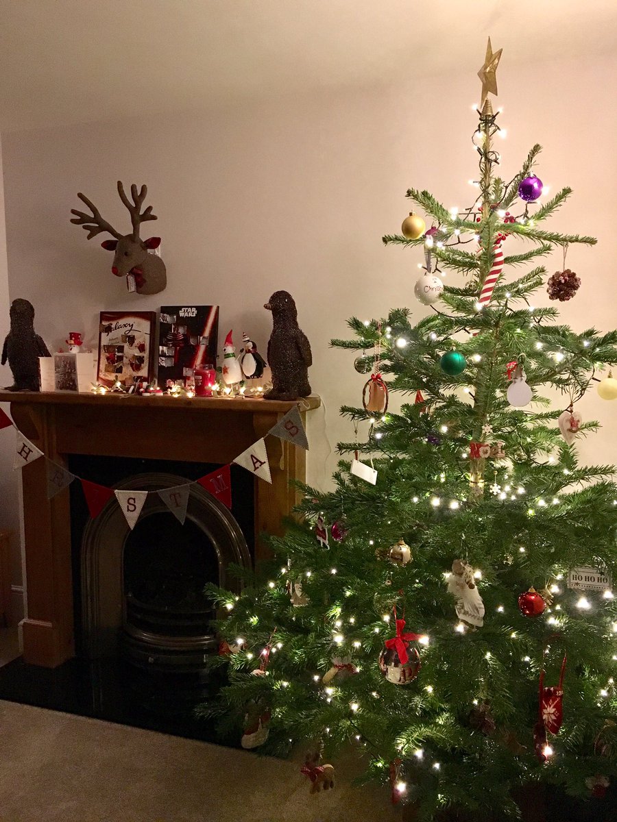 Everywhere_Plus's tweet photo. Went a bit far with the reindeer, haven't I?... #finallychristmas #actuallybuzzing https://t.co/iI22Vxs2mE