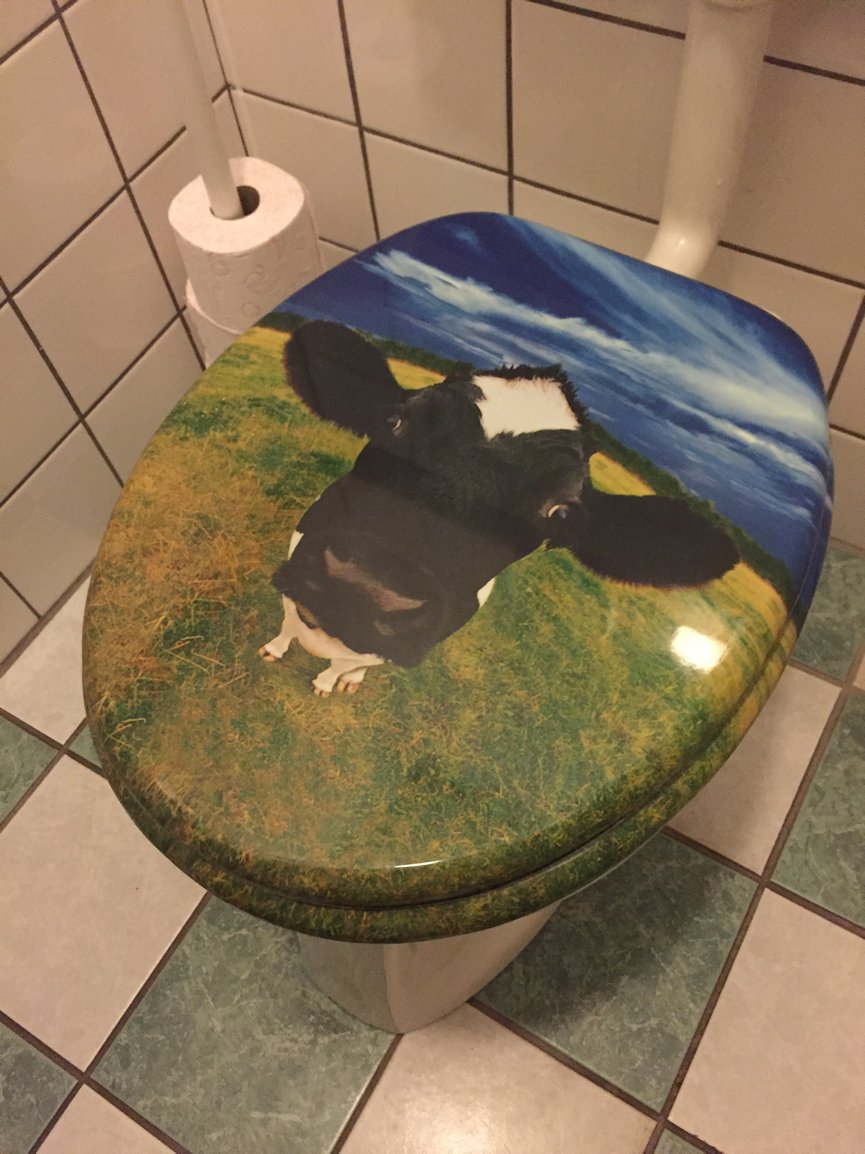 IDEXXnl's tweet photo. Pooooooo 💩🐮 https://t.co/kafWSQA5Cn