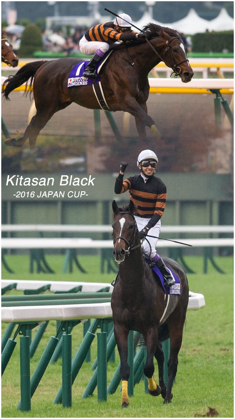 Twitter 上的 H K 深夜の制作活動 キタサンブラックのジャパンカップverで作ったスマホの壁紙です サイズはiphone6sに最適化 お持ち帰りはご自由にどうぞ でも 再配布はご遠慮願います キタサンブラック ジャパンカップ 壁紙 T Co 52ey8v0wbm Twitter 上的 H K 深夜の制作活動 キタサンブラックのジャパンカップverで作ったスマホの壁紙です サイズはiphone6sに最適化 お持ち帰りはご自由にどうぞ でも 再配布はご遠慮願います キタサンブラック ジャパンカップ 壁紙 T Co 52ey8v0wbm