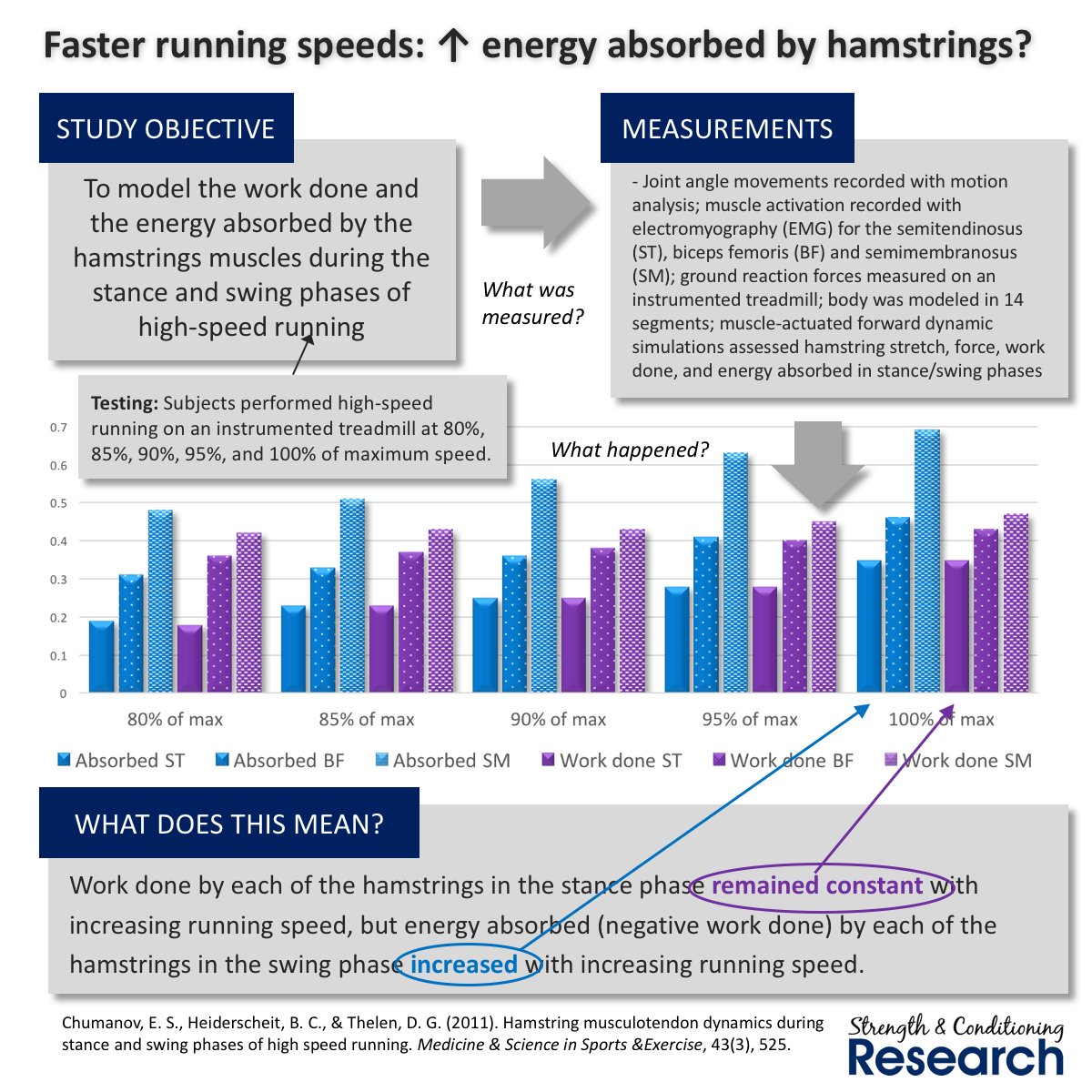 Sprinting faster seems to require a greater ability to absorb force than to produce it, at least in the hamstrings