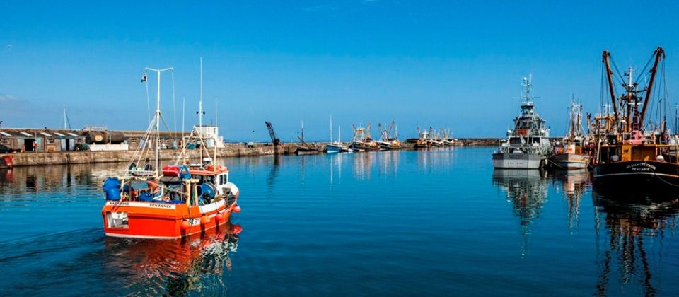 Cornish Sea Salt (@cornishsea_salt) on Twitter photo #Fishmas fact: the salted pilchard industry was as important as the mining industry in 1700. Hevva hevva! <a href="/OceanFishUK/">Ocean Fish</a> #Fishmas fact: the salted pilchard industry was as important as the mining industry in 1700. Hevva hevva! <a href="/OceanFishUK/">Ocean Fish</a>