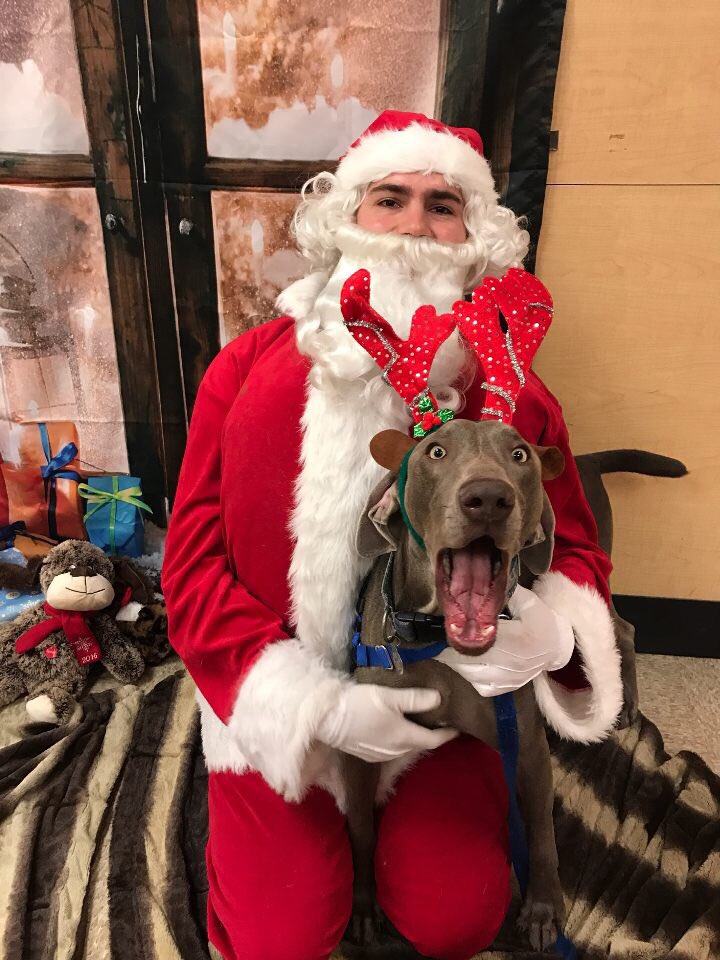 Stop by your local <a href="/PetSmart/">PetSmart</a> today and tomorrow 12-4 for a photo with Santa!  #gatheraround