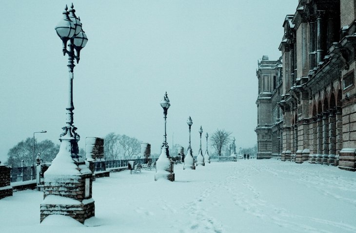 A gorgeous picture of #AllyPally in the snow! A perfect winter stroll