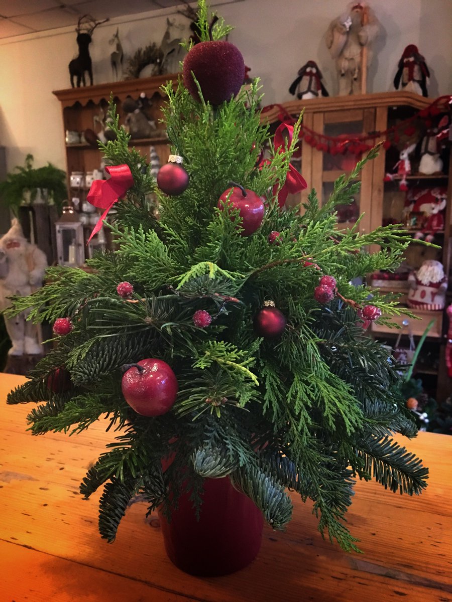 Great fun making our own Christmas trees. Great way to use the offcuts from big tree.