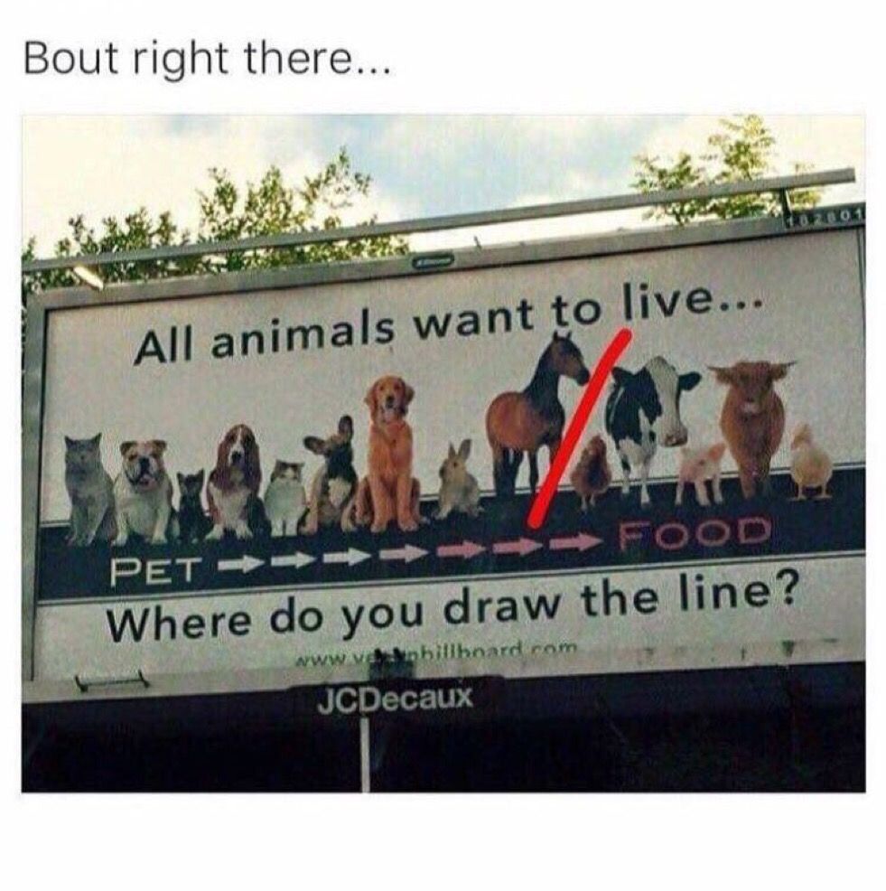 MensHumor's tweet photo. Bout right there... https://t.co/v1UYLMpabl