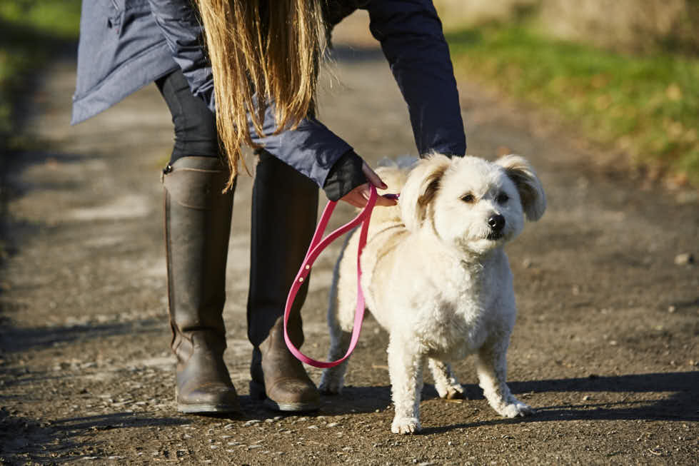 Caldene's tweet image. Look after your feet with Caldene footwear! #BucklandBoots #dogwalks