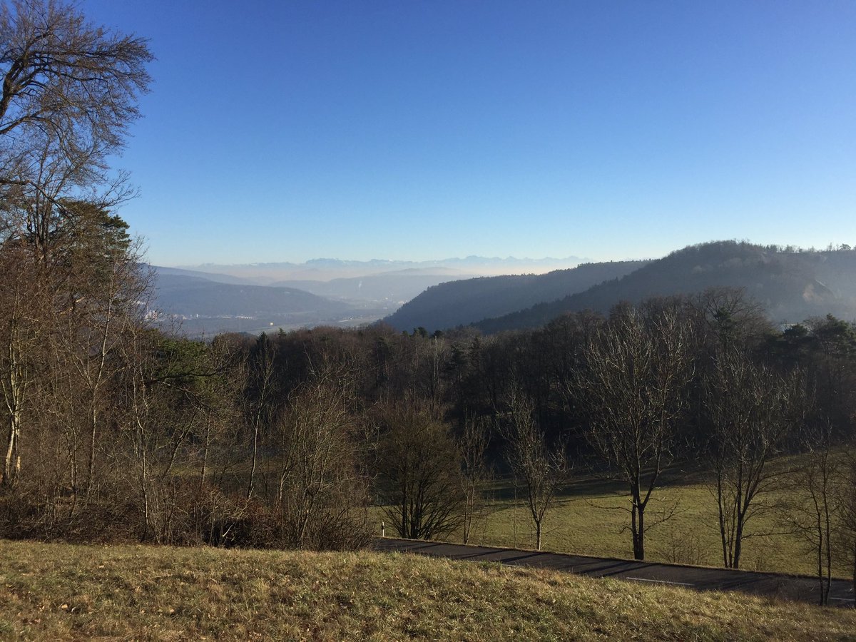 SchumacherFM's tweet image. What a chilling bike ride at +1C but stunning view towards the Alps. #geissberg #aargau #notCoding