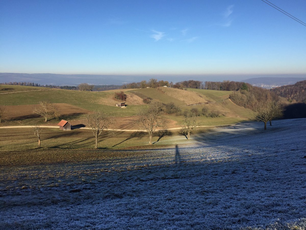 SchumacherFM's tweet image. What a chilling bike ride at +1C but stunning view towards the Alps. #geissberg #aargau #notCoding