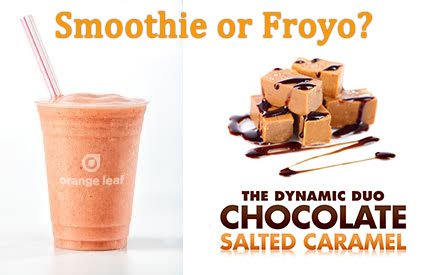 DecaturFroyo's tweet photo. RT for #Smoothie. Fav for #Froyo. Stop by Orange Leaf #Decatur to take a break from #Christmas.  Both are Delicious! https://t.co/blBAAq6HMc https://t.co/FdpmqfsHmf