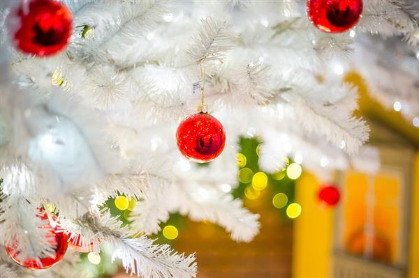 CountsHallmark's tweet image. Does your family prefer real or artificial Christmas trees?