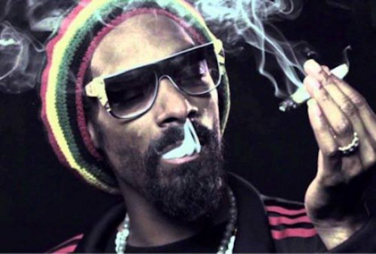 Peace_Amsterdam's tweet photo. SMOKE SUMTHIN' SUPER SKUNKY SATURDAY!!!!!!!!!! 
ALL TOP SHELF 8THS $35!!!!!!!!!! 
NEW STRAIN ALERT!!!!!!!!!!
#SNOOPDOGGOG
#POA https://t.co/8XYsfQToej
