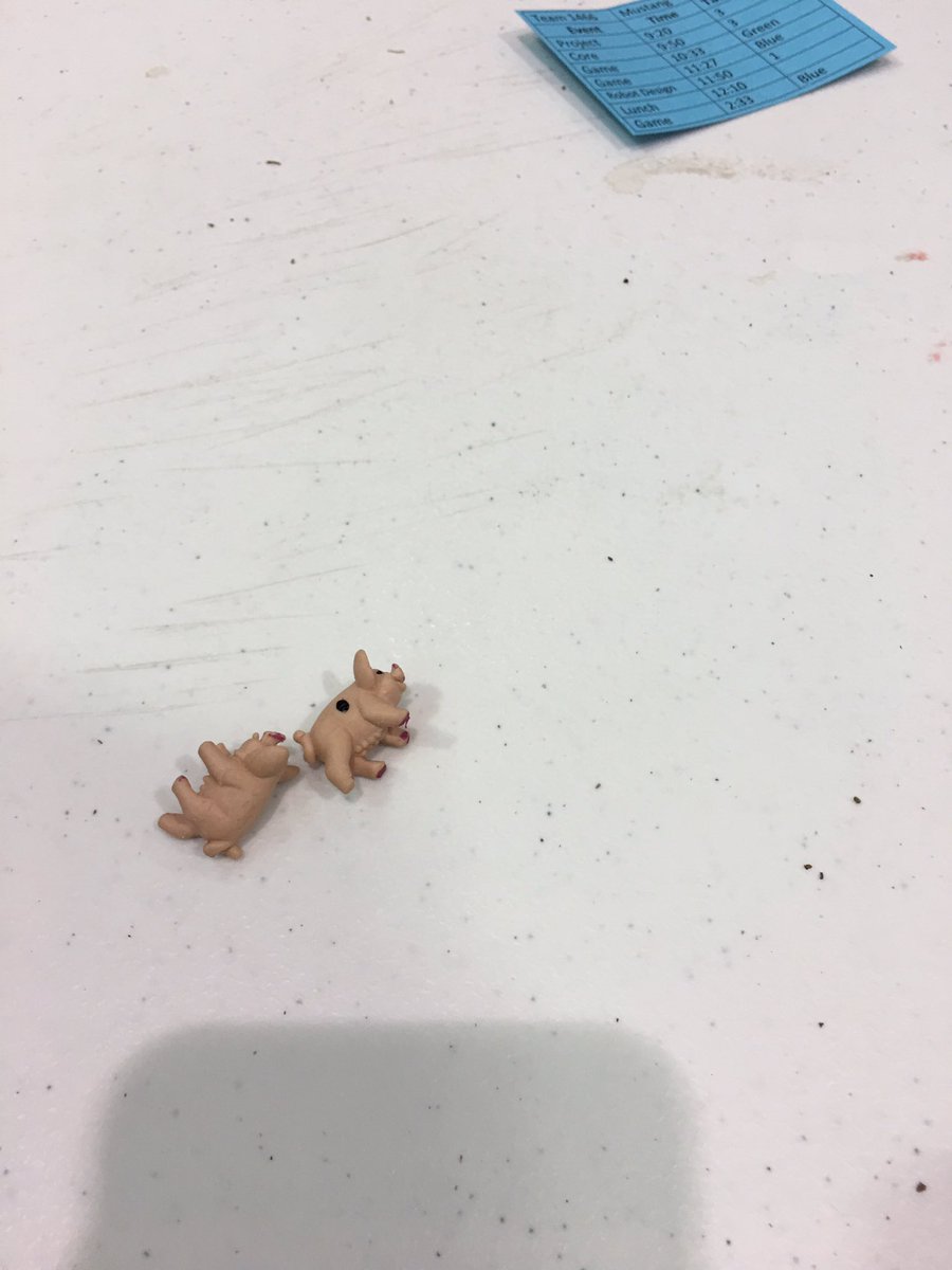 MustangBots's tweet photo. Passing the time by Passing the Pigs. https://t.co/cuGX3M5fUI