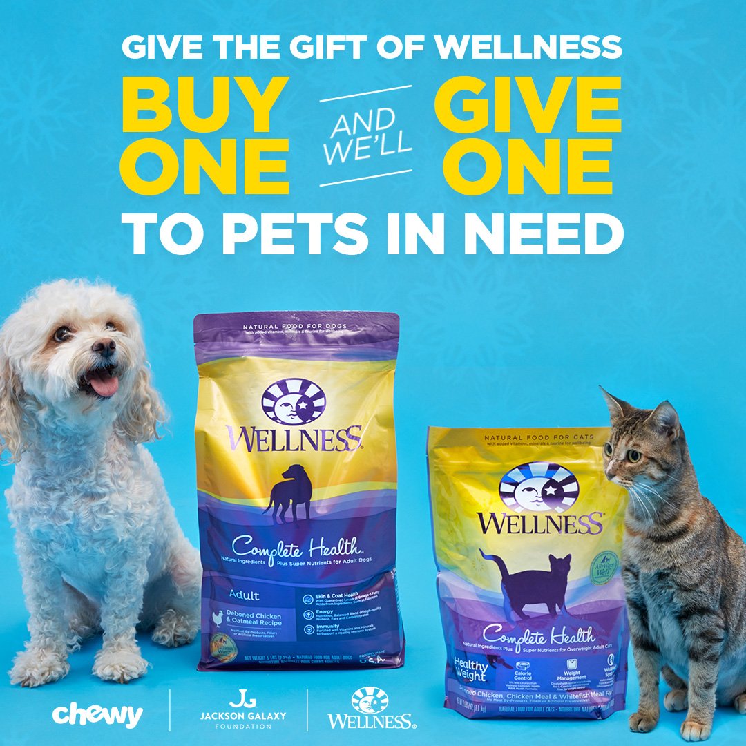 Jackson Galaxy (JacksonGalaxy) Twitter