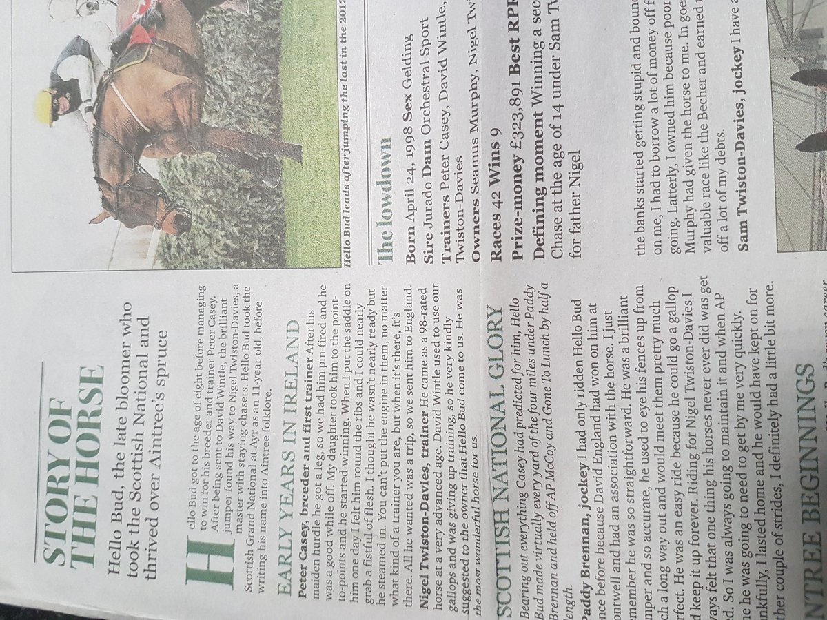 alisondalgarno's tweet photo. Lovely to read the #hellobud story in last weeks #racingpost, he is such a star, so proud of him & @samtwiston he got the best out him. https://t.co/WAxkxb7FPv