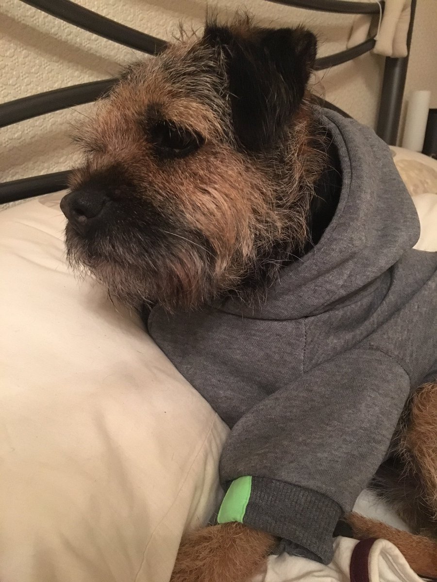 RubyTuesdayBT's tweet image. How cool is my bro?
