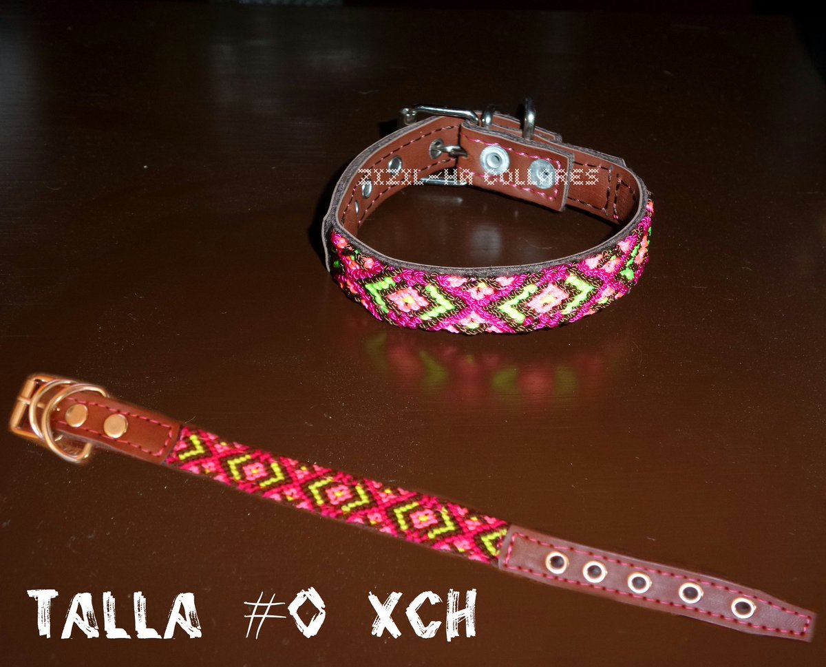 ZizilHaCollares's tweet photo. Collar para gato y chihuahua $210 https://t.co/l2IUv4qPD9