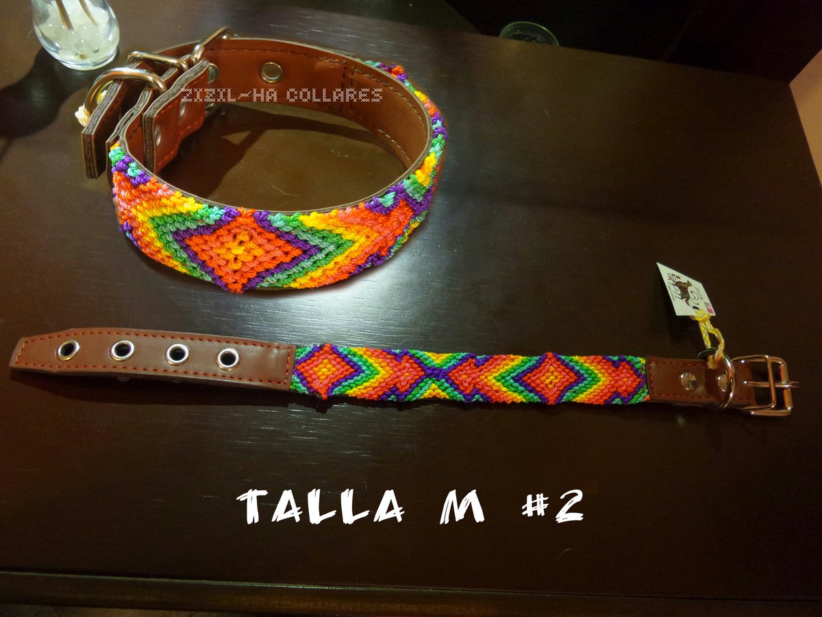ZizilHaCollares's tweet photo. Collar para perro talla chico a mediano $260 https://t.co/19hGlp9y4g