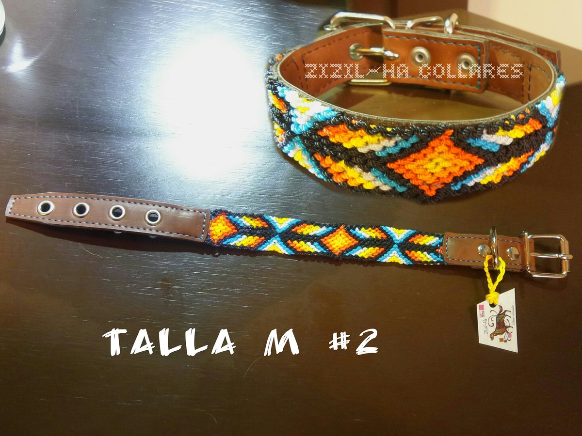 ZizilHaCollares's tweet photo. Collar para perro talla chico a mediano $260 https://t.co/iSVFkbE1Ax