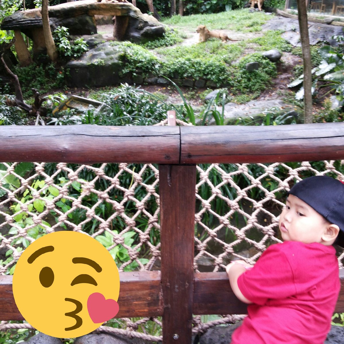 Bali zoo