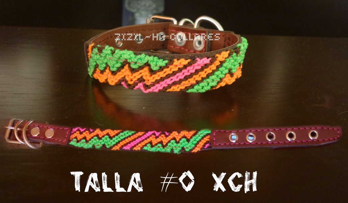 ZizilHaCollares's tweet photo. Collar para gato y chihuahua $210 https://t.co/xOzhnkDd5S