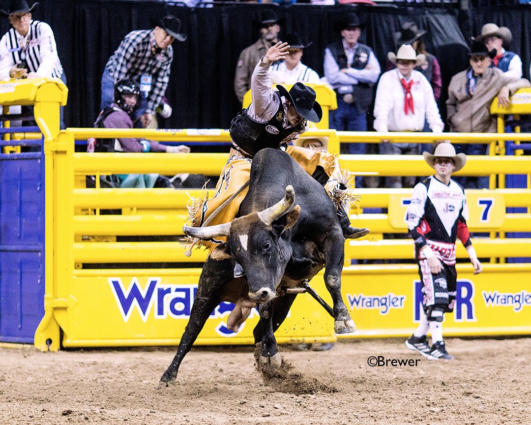 CBRbull's tweet photo. Congrats #CBRCowboy Tim Bingham! 90.50 Points, Smith, Harper & Morgan, Magic Bullet I Photo by Brewer I Results: @ProRodeoOnline https://t.co/Va6CYtZ6yH