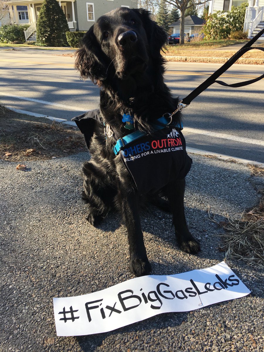 RisalavelleRisa's tweet photo. .@mothersoutfront .@nationalgrid #FixBigGasLeaks
“Participation – that’s what’s gonna save the human race.”
Pete Seeger, #RETWEEETME https://t.co/QN1DgqgJf2