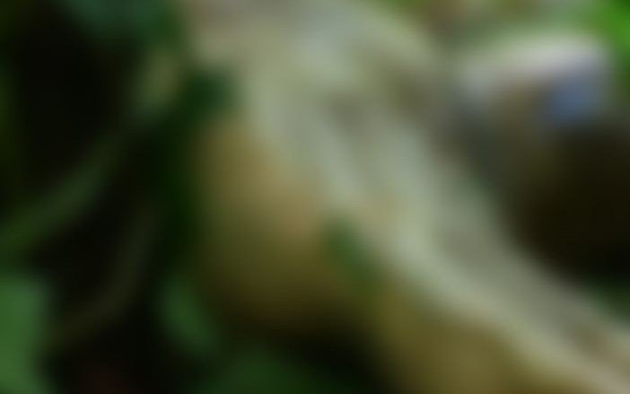 #RojasTabasco Hallan mujer ejecutada y desnuda en #Cárdenas thoy.mx/QxqdPV7m