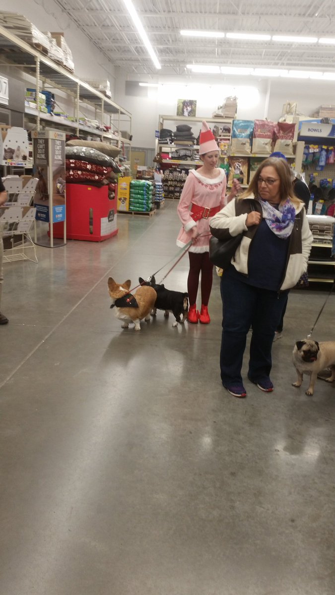 Petsmart Lakeline tweet media
