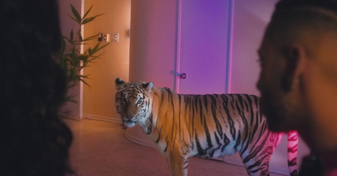 nuclearcreative's tweet image. Rawr!