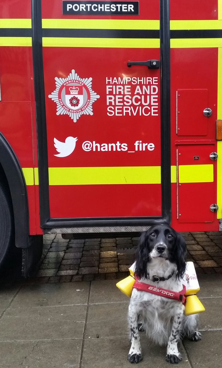 HantsFireDogs's tweet image. Millie got plenty of cuddles and plenty of coins from the people of Portchester today @Portchester28 Xmas collection for @firefighters999 🎄🐶