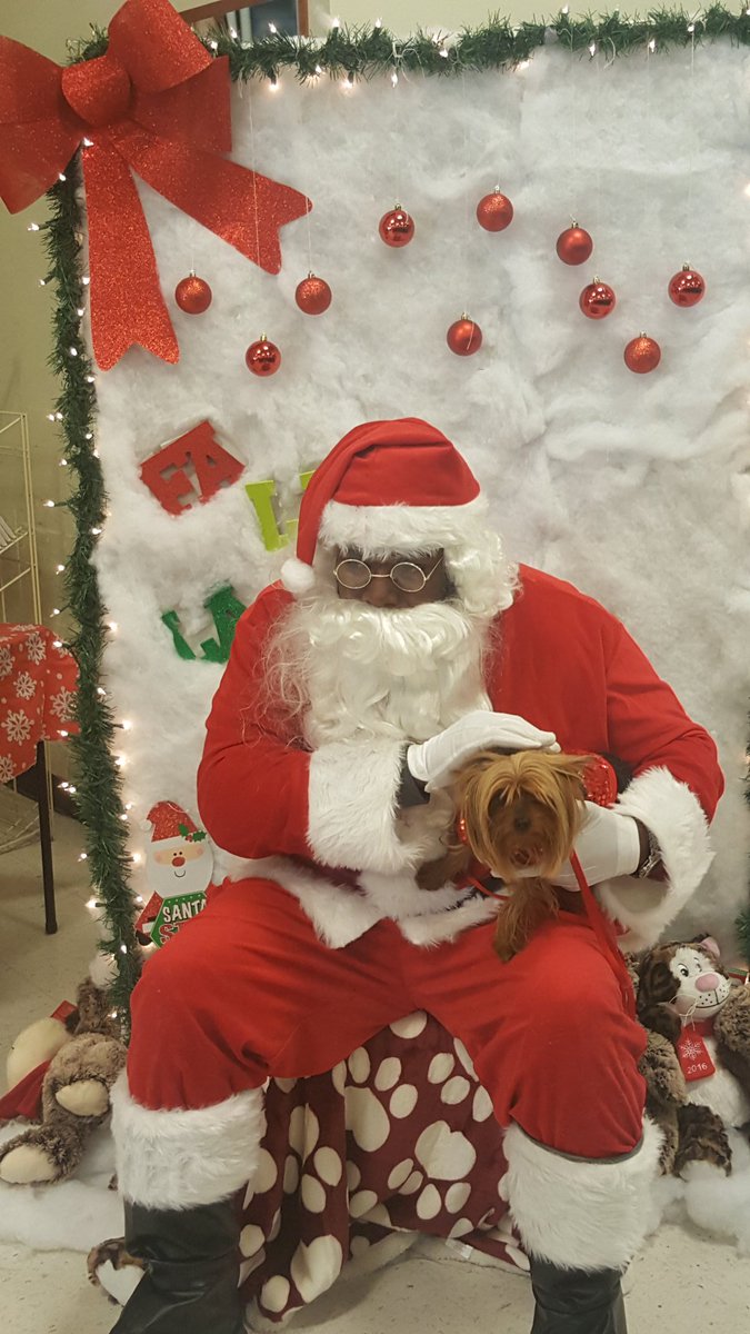 Petsmart1215 tweet media