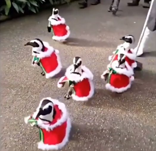 prettypenguinx's tweet image. went shopping with my friends today, scored some cute dresses #matching #friends