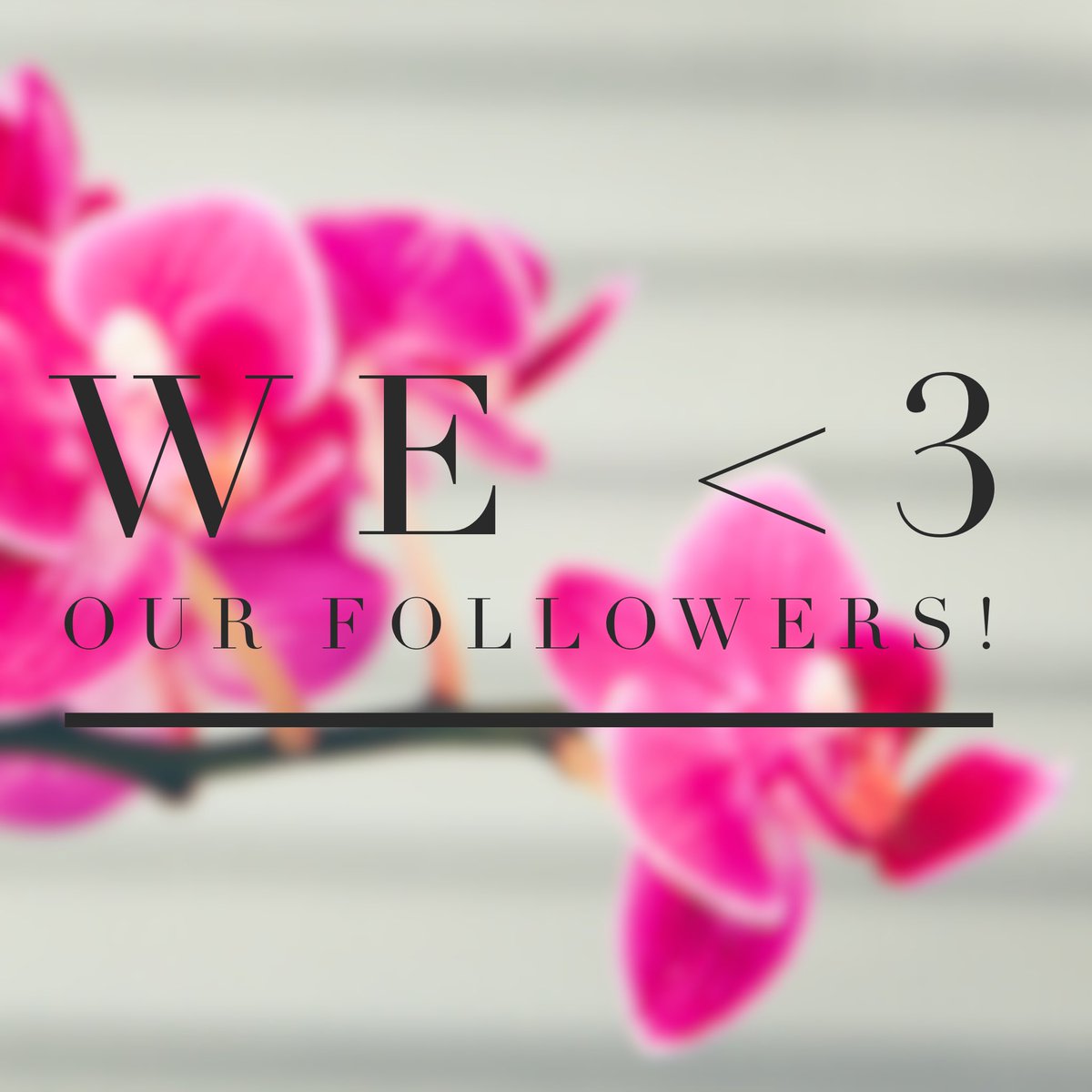 TheoryBloom's tweet image. We 💜 our followers! 
Thanks to everyone who follows us.