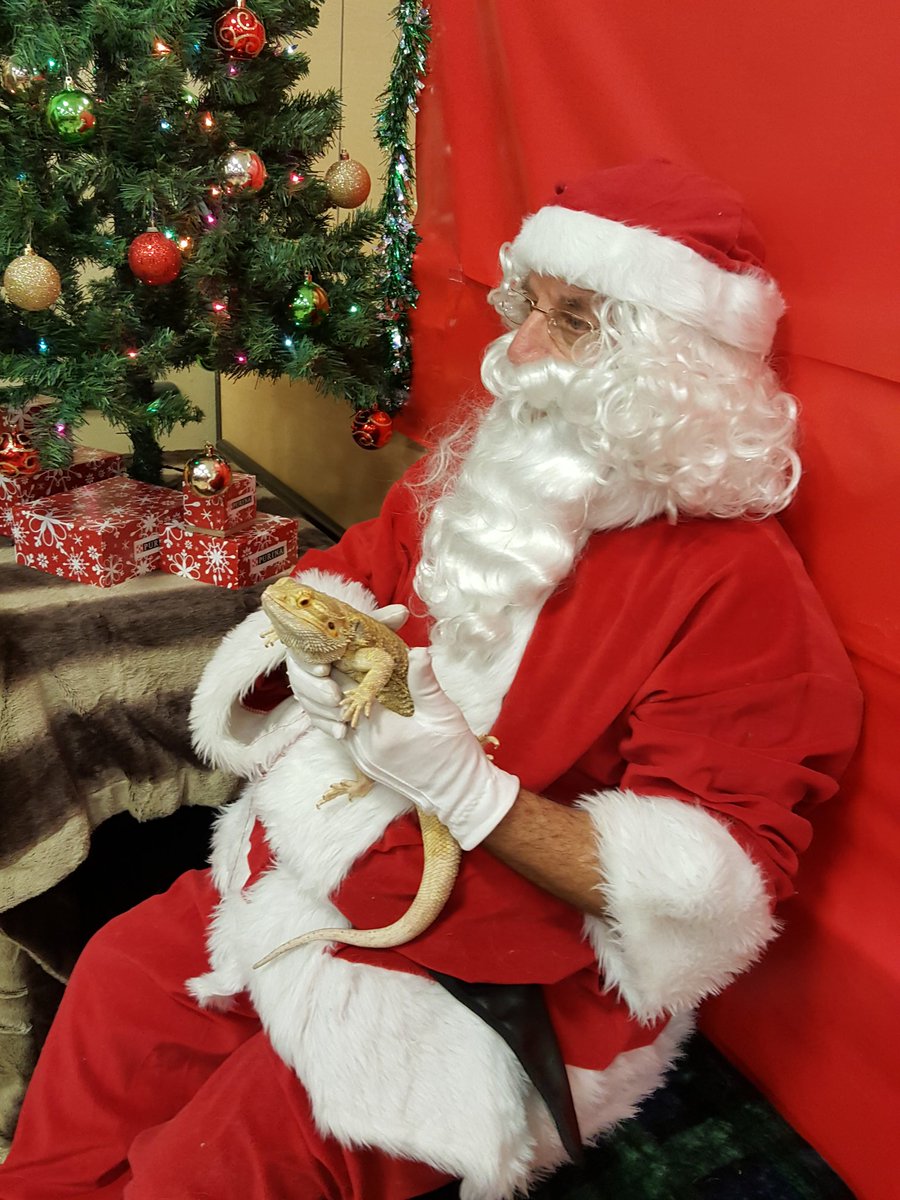 PetSmartFashionSqFL tweet media