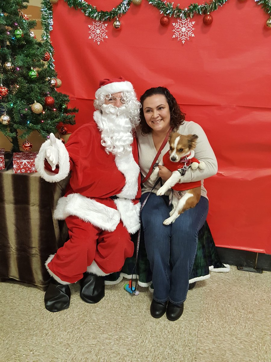 PetSmartFashionSqFL tweet media